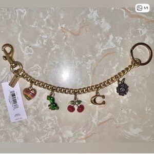 Coach Gold Bag Strap with Colorful Charms